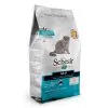 Schesir Dry Line Mantenimento Con Pesce -Offerte Cat food Negozio 00112692