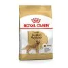 ROYAL CANIN Golden Retriever Adult -Offerte Cat food Negozio 00116011