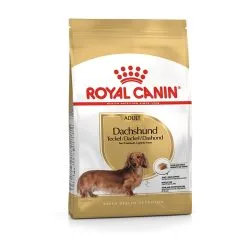 ROYAL CANIN Bassotto Dachshund