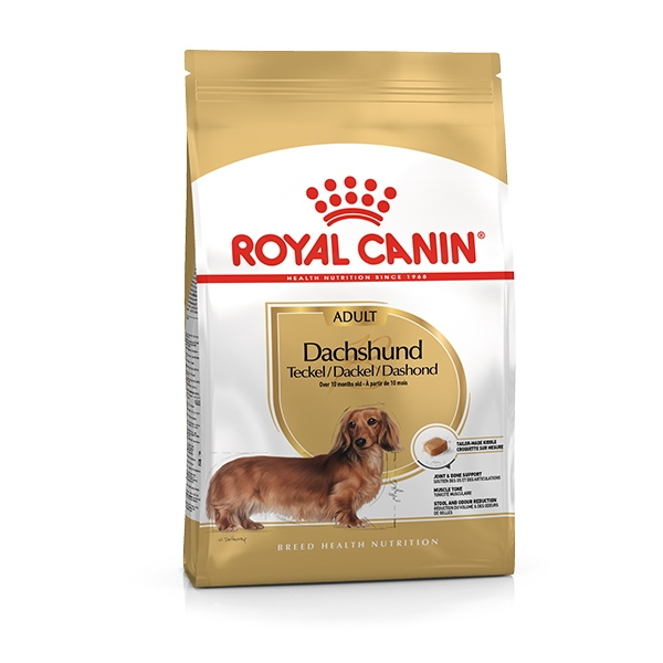 ROYAL CANIN Bassotto Dachshund 3 ROYAL CANIN Bassotto Dachshund