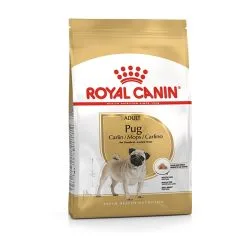 ROYAL CANIN Pug Adult Carlino