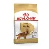 ROYAL CANIN Cocker Adult -Offerte Cat food Negozio 00117049