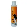 Bioforlife Therapet Theraseb Shampoo -Offerte Cat food Negozio 00139339