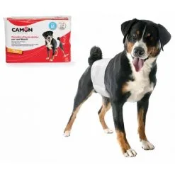 CAMON Pannolini A Fascia Elastica Per Cani Maschi 12 Pezzi