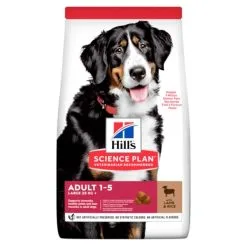 HILL'S Pet Nutrition Science Plan Adult Large Breed Con Agnello E Riso