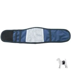 CAMON Fascia Igienica Blu Per Cani Maschi