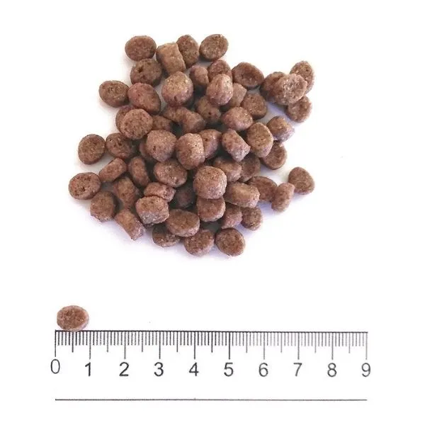 ProLife Dual Fresh Adult Mini Turkey Pork & Rice 4 ProLife Dual Fresh Adult Mini Turkey Pork & Rice - immagine 2