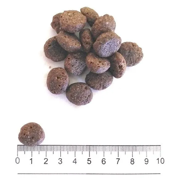 ProLife Dual Fresh Adult Medium/Large Salmon Codfish & Rice 4 ProLife Dual Fresh Adult Medium/Large Salmon Codfish & Rice - immagine 2