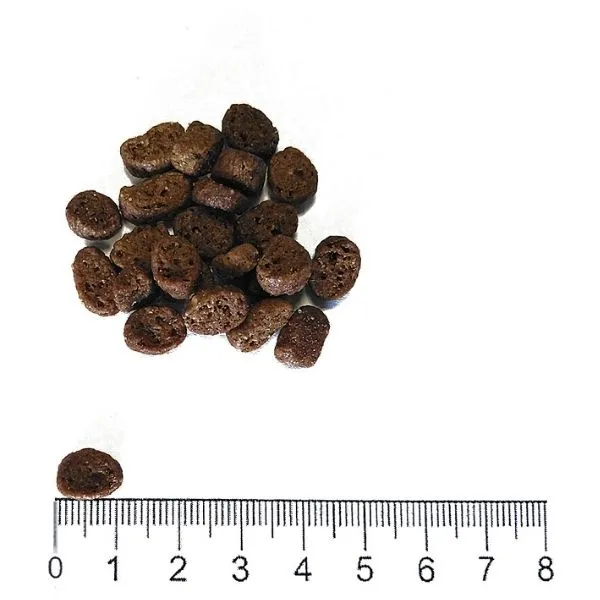 ProLife Dual Fresh Adult Salmon Codfish & Rice 4 ProLife Dual Fresh Adult Salmon Codfish & Rice - immagine 2