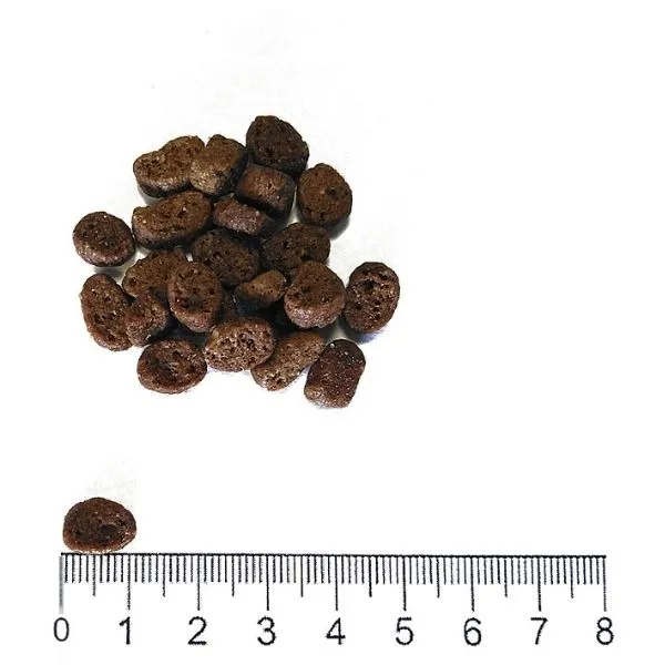 ProLife Dual Fresh Adult Lamb Trout & Rice 4 ProLife Dual Fresh Adult Lamb Trout & Rice - immagine 2