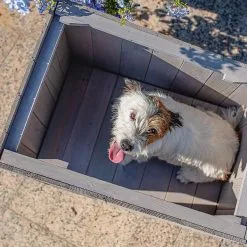 FERPLAST Argo Cuccia In Legno Di Pino Nordico -Offerte Cat food Negozio 11195