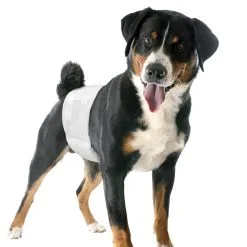 CAMON Pannolini A Fascia Elastica Per Cani Maschi 12 Pezzi -Offerte Cat food Negozio 5966 scaled