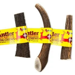 Antos Antler Corna Di Cervo 100% Naturale -Offerte Cat food Negozio 6498 scaled