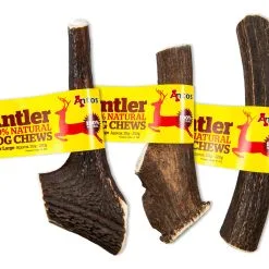 Antos Antler Corna Di Cervo 100% Naturale -Offerte Cat food Negozio 6499 scaled
