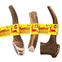 Antos Antler Corna Di Cervo 100% Naturale -Offerte Cat food Negozio 6500 scaled