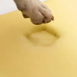 Balto BT Blue Carpet Materassino Ortopedico -Offerte Cat food Negozio 7512