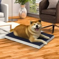 Balto BT Blue Carpet Materassino Ortopedico -Offerte Cat food Negozio 7514