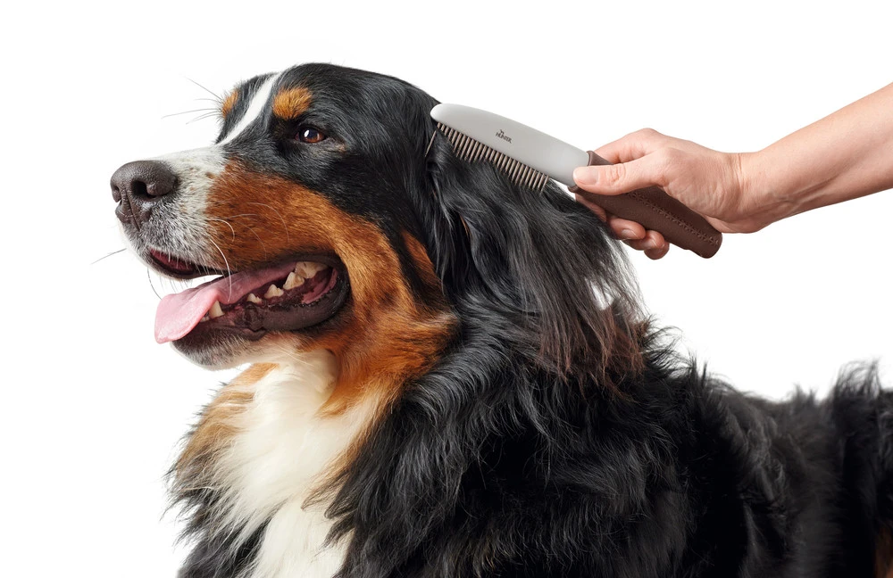 Hunter Pettine Per Toelettatura Con Denti Rotanti 6 Hunter Pettine Per Toelettatura Con Denti Rotanti - immagine 4