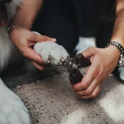 Hunter Tronchesine Per Unghie 7 Hunter Tronchesine Per Unghie -Offerte Cat food Negozio 7592