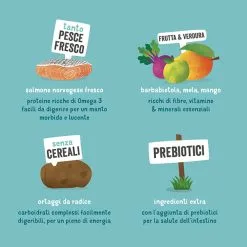 Edgard & Cooper Adult Large Carne Fresca Di Salmone Norvegese Senza Cereali -Offerte Cat food Negozio 9394