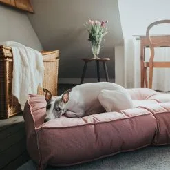 Hunter Cuscino Cuccia Trapuntata Lancaster Rosso 8 Hunter Cuscino Cuccia Trapuntata Lancaster Rosso -Offerte Cat food Negozio 9603